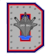 Dunellen Destroyers--Sectional Titles